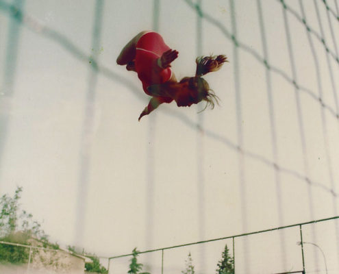 Campionati FITe (Federazione Italiana Trampolino elastico) 1980