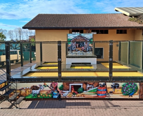 tappeti elastici per agriturismo